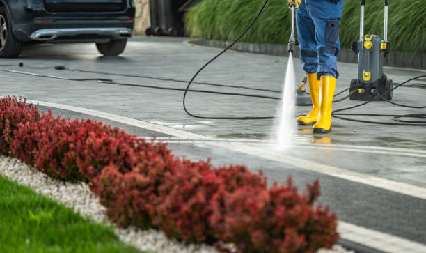 Best Sidewalk and Walkway Cleaning  in Brilliant, AL